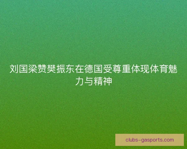 刘国梁赞樊振东在德国受尊重体现体育魅力与精神
